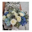 16.webp